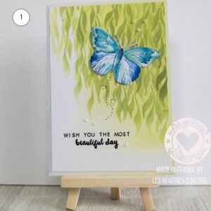 Carte papillon